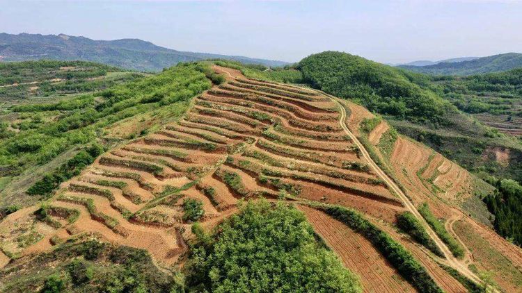 141615735924326114.jpeg 微信圖片_20210314235539.jpg