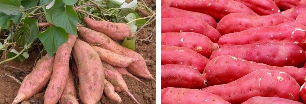 091639033277693971.jpeg 091639033277693971.jpeg