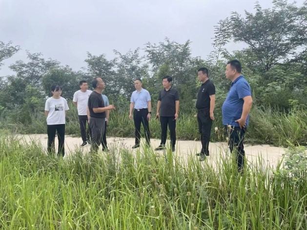 201663665328358552.jpeg 1.jpg