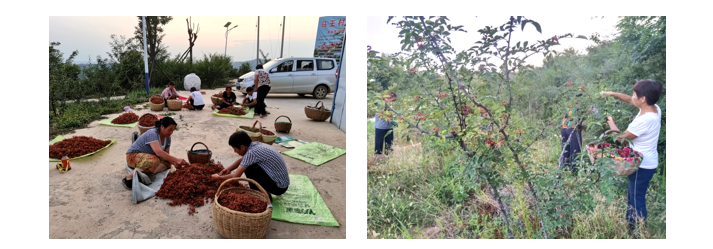 201663666307160259.png 微信截圖_20220920173147.png