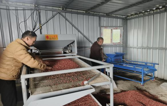 鄉村振興工作動態(第173期)