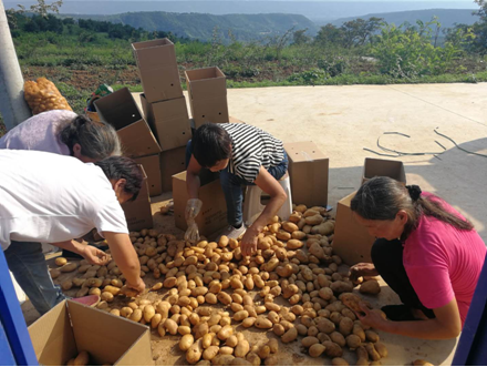 扶貧工作動態(第114期)