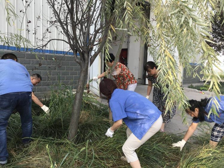 1535597968135446.jpg 9.jpg